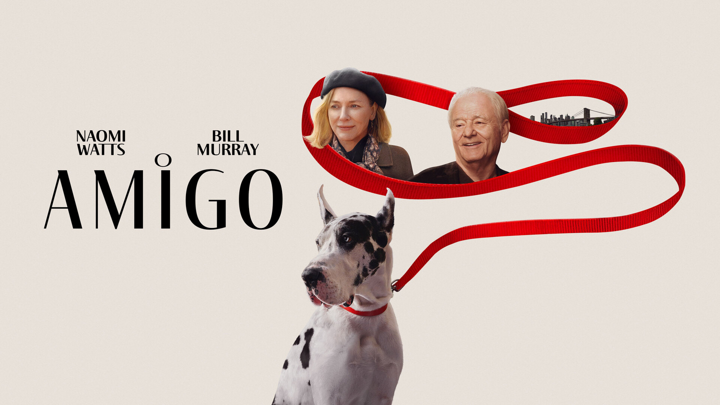 Capa de O Amigo